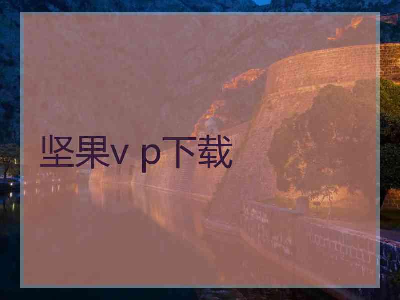 坚果v p下载