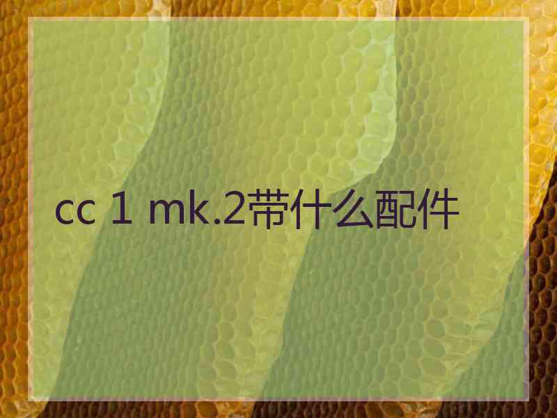 cc 1 mk.2带什么配件