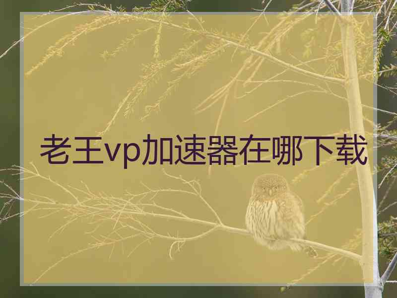 老王vp加速器在哪下载