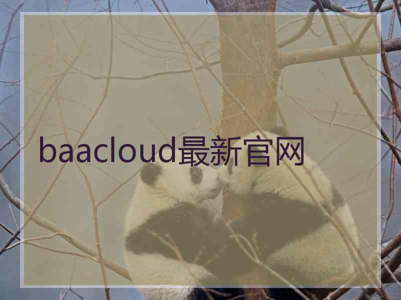 baacloud最新官网