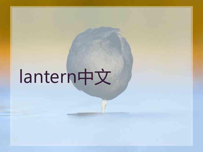 lantern中文