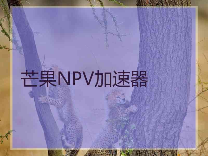 芒果NPV加速器