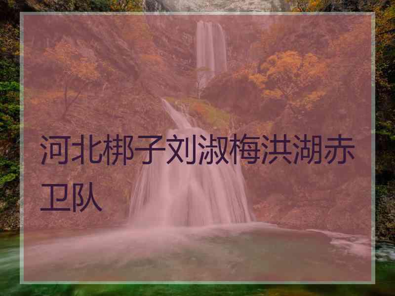 河北梆子刘淑梅洪湖赤卫队