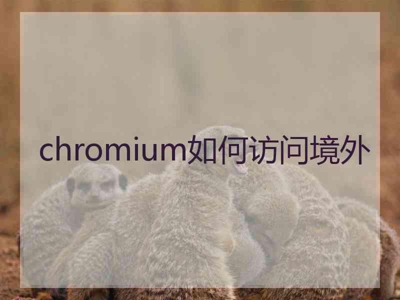 chromium如何访问境外