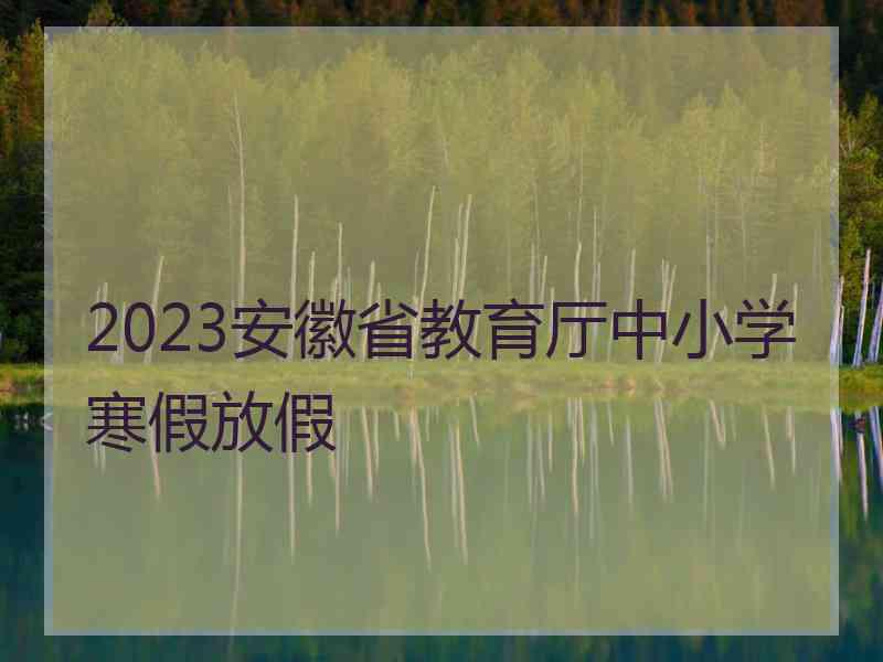 2023安徽省教育厅中小学寒假放假