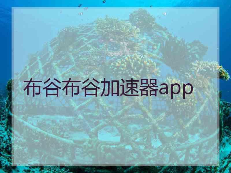 布谷布谷加速器app