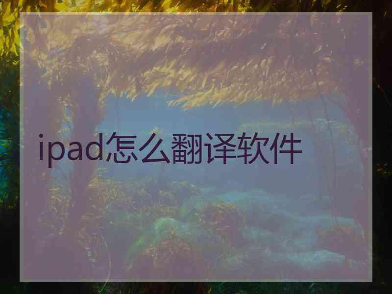 ipad怎么翻译软件