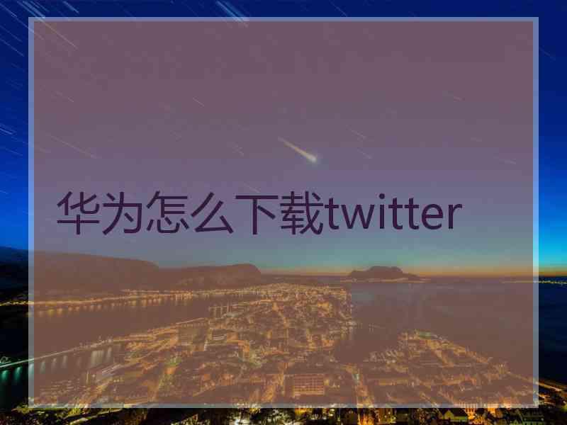 华为怎么下载twitter