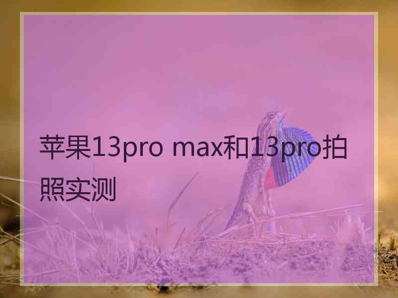 苹果13pro max和13pro拍照实测