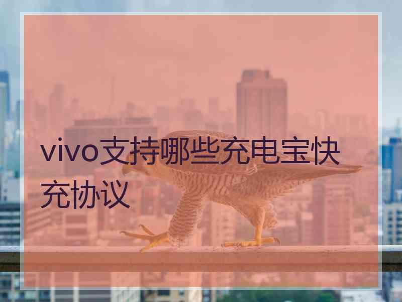 vivo支持哪些充电宝快充协议