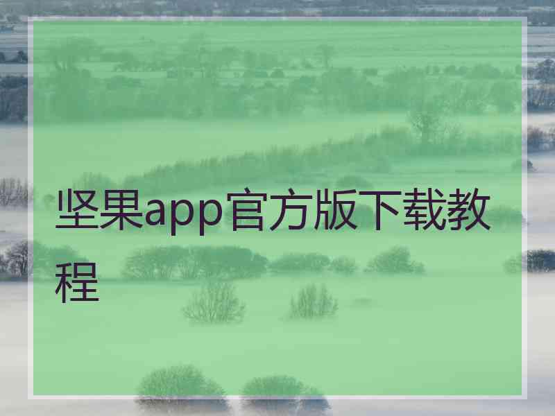 坚果app官方版下载教程