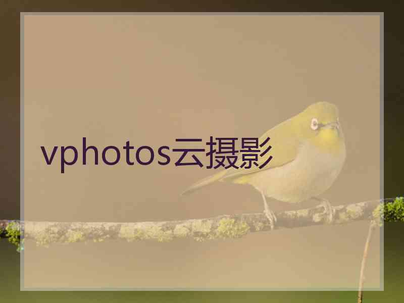 vphotos云摄影