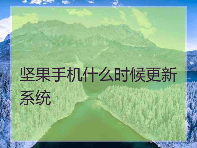 坚果手机什么时候更新系统