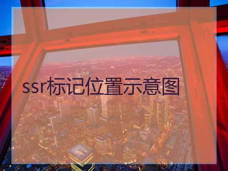 ssr标记位置示意图