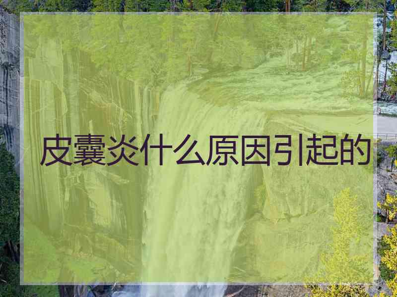 皮囊炎什么原因引起的