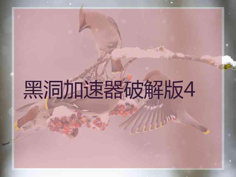 黑洞加速器破解版4