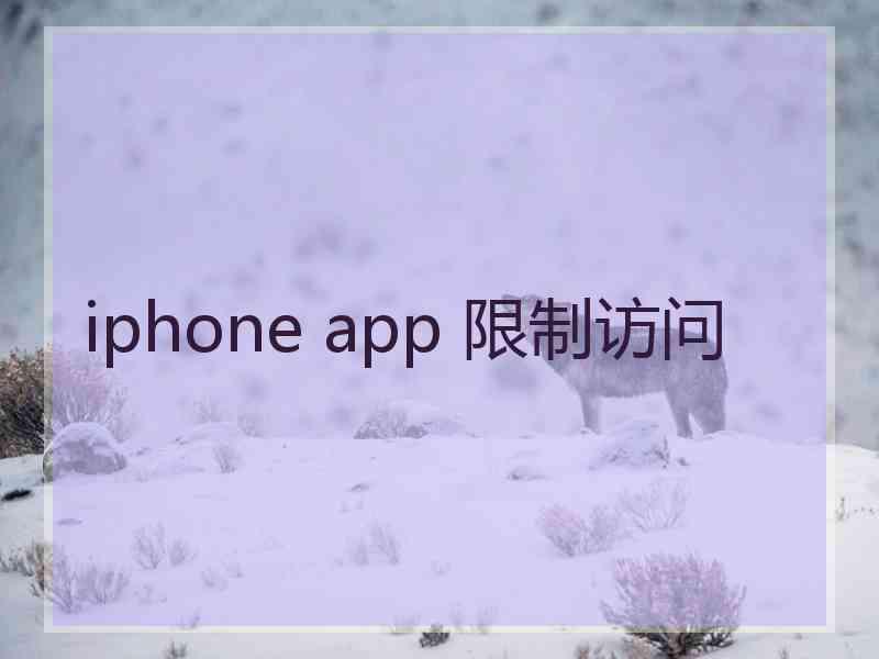 iphone app 限制访问