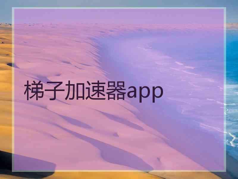 梯子加速器app