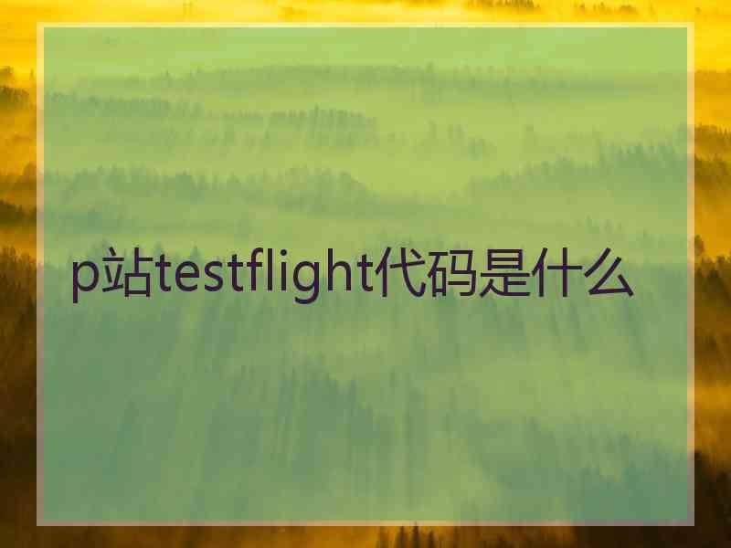 p站testflight代码是什么