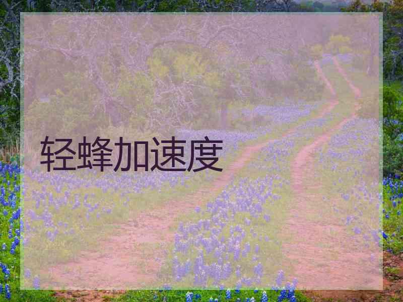 轻蜂加速度