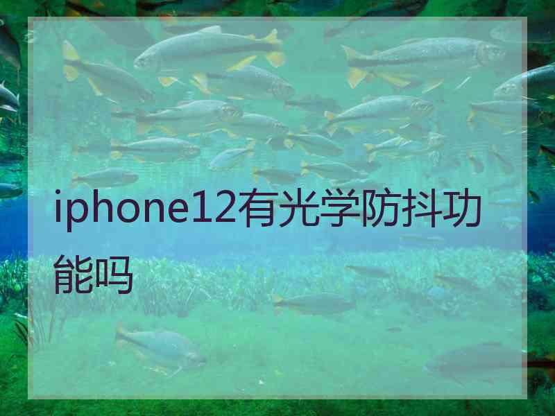 iphone12有光学防抖功能吗