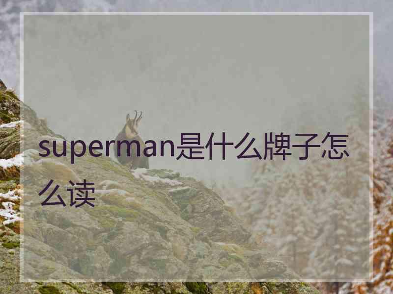 superman是什么牌子怎么读