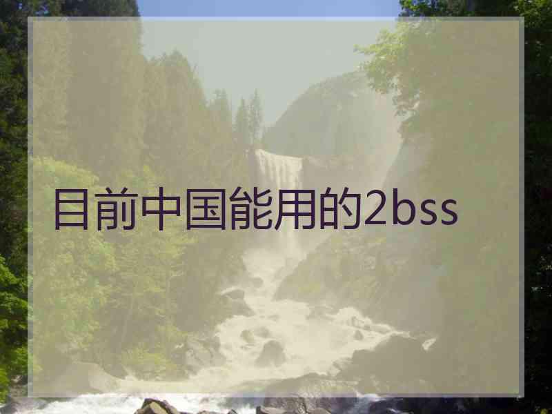 目前中国能用的2bss