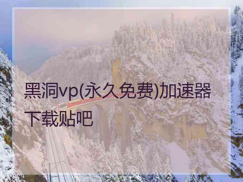 黑洞vp(永久免费)加速器下载贴吧