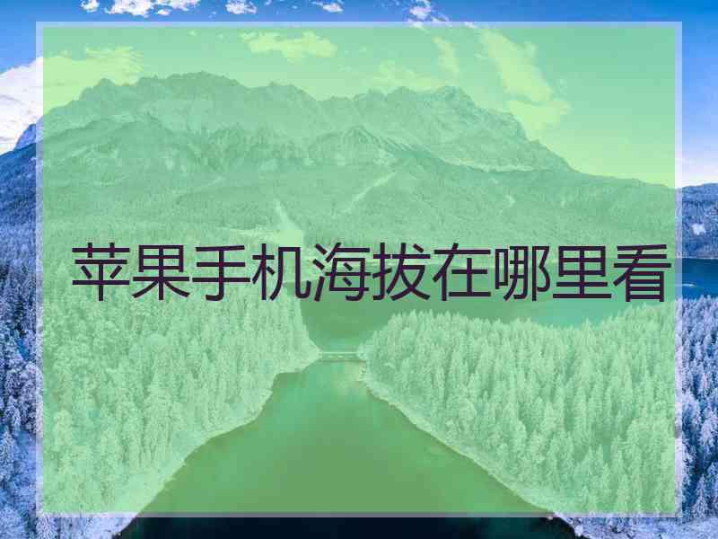 苹果手机海拔在哪里看