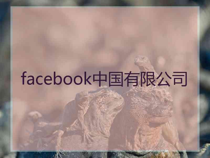 facebook中国有限公司