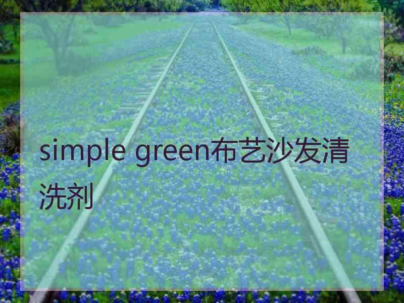 simple green布艺沙发清洗剂