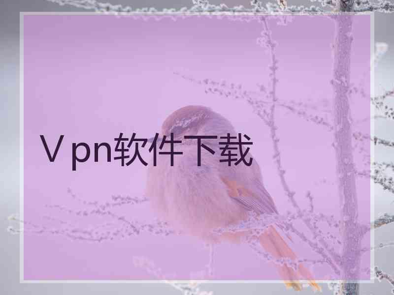 Ⅴpn软件下载