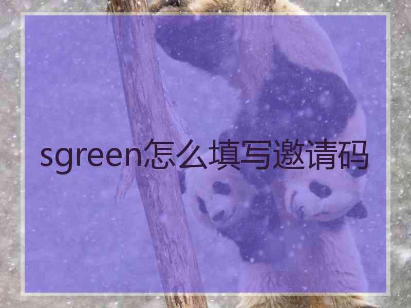 sgreen怎么填写邀请码