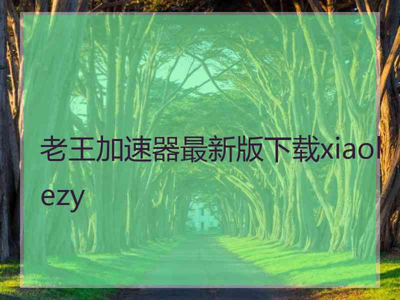 老王加速器最新版下载xiaolezy