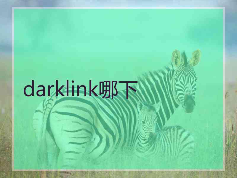 darklink哪下