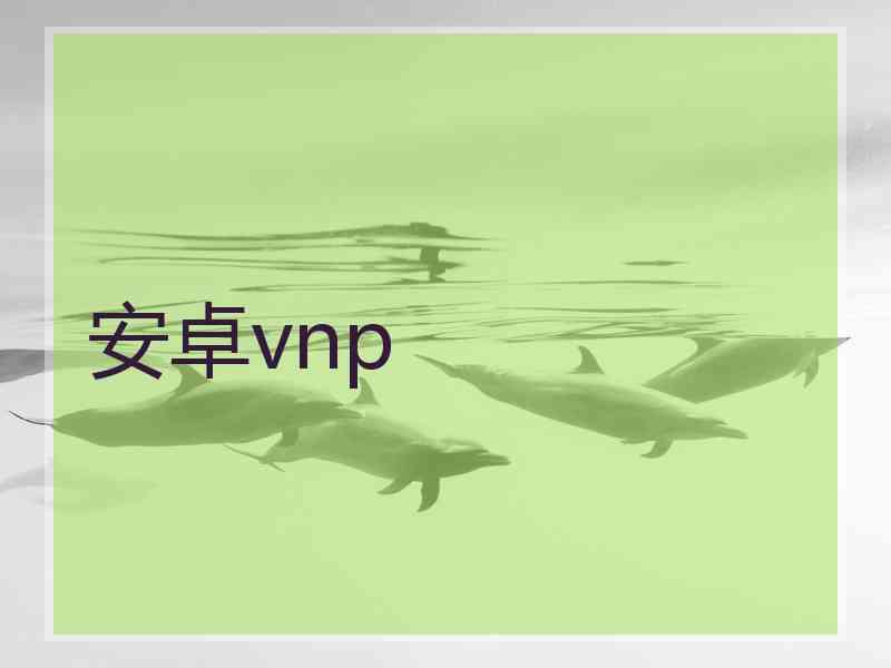 安卓vnp