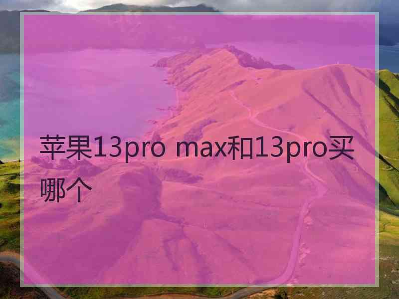 苹果13pro max和13pro买哪个