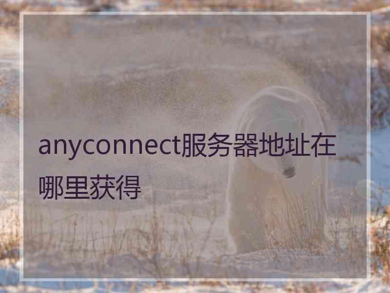 anyconnect服务器地址在哪里获得