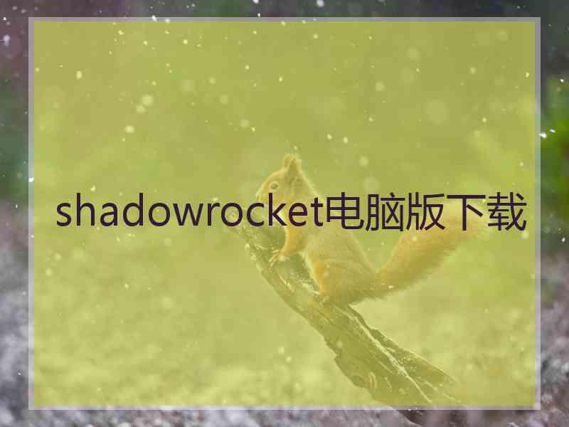 shadowrocket电脑版下载