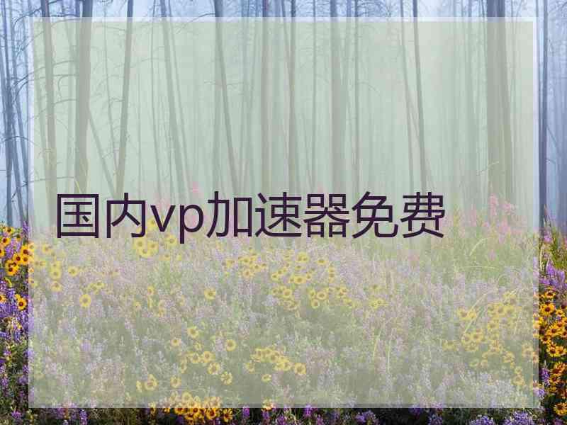 国内vp加速器免费