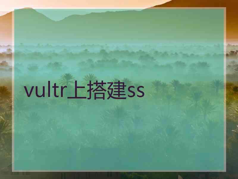 vultr上搭建ss