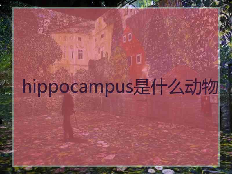 hippocampus是什么动物