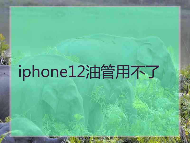 iphone12油管用不了