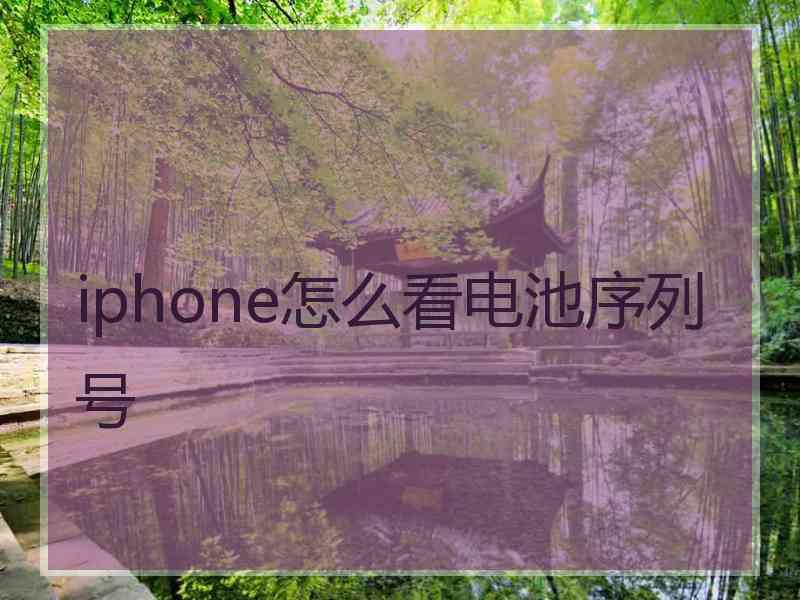 iphone怎么看电池序列号