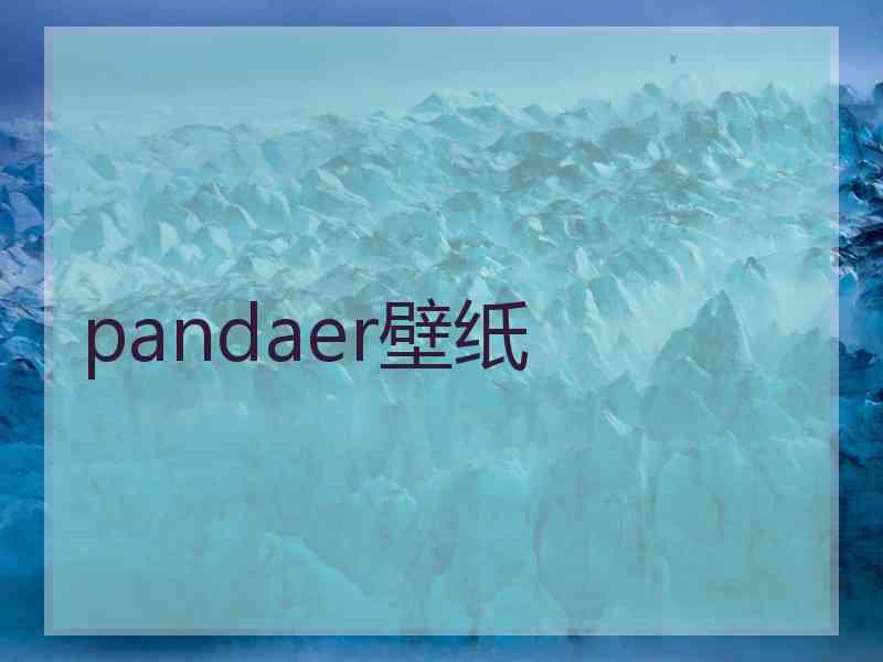 pandaer壁纸