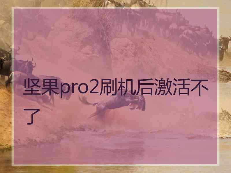 坚果pro2刷机后激活不了