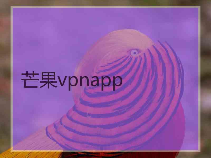 芒果vpnapp