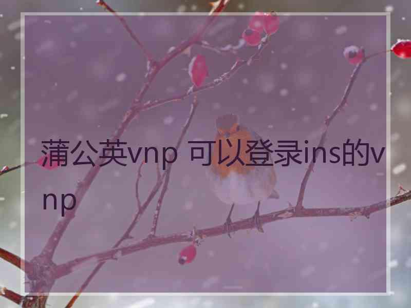 蒲公英vnp 可以登录ins的vnp