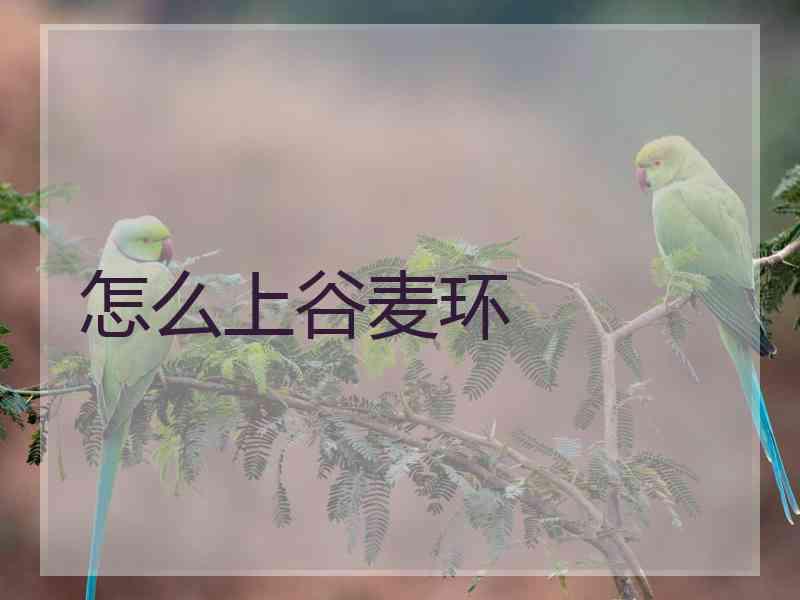 怎么上谷麦环