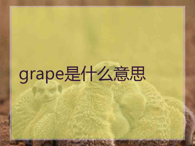 grape是什么意思